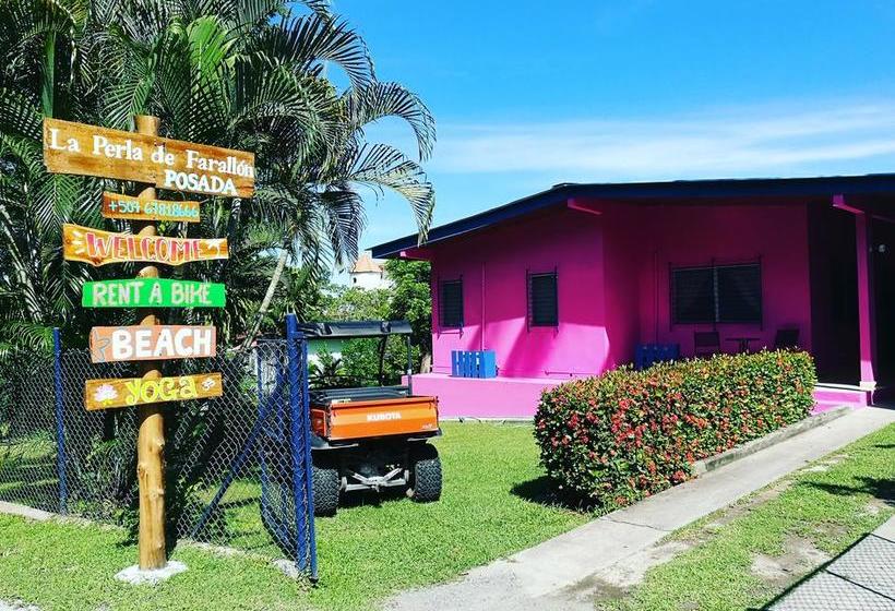 مبيت وإفطار La Perla De Farallon