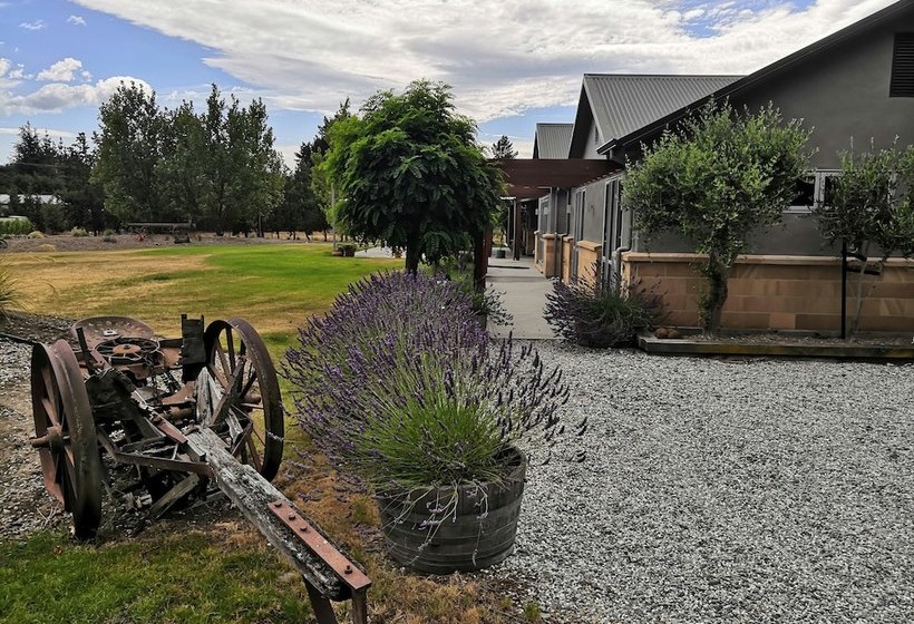 تختخواب و صبحانه Vines On Bannockburn
