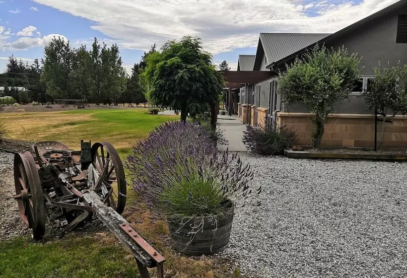 ベッドアンドブレックファースト Vines On Bannockburn