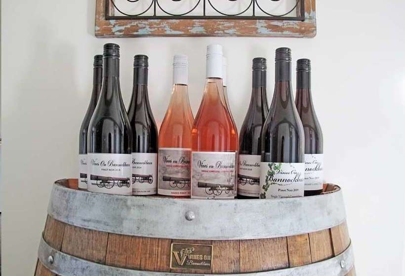 تختخواب و صبحانه Vines On Bannockburn