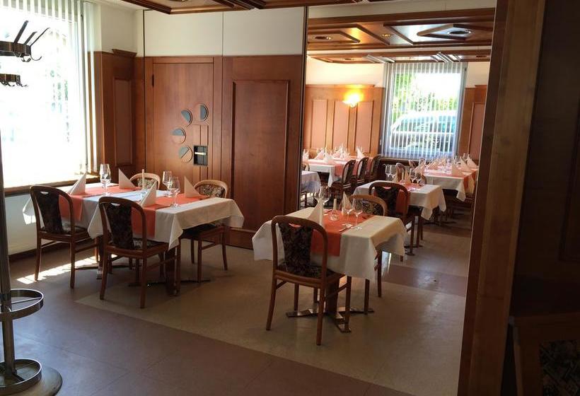 בית מלון כפרי Restaurant Park