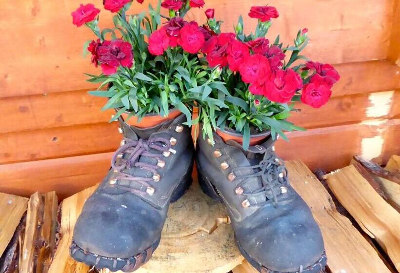 هتل Roseg Gletscher