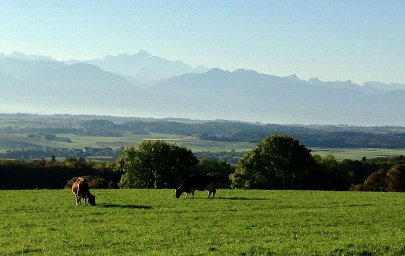 La Ferme De La Praz B&b