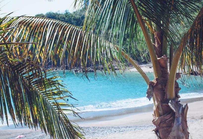 渡假胜地 Bungalows In Careyes