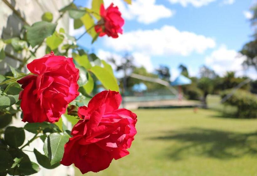 אתר נופש Haruru Falls Motel & Conference Centre