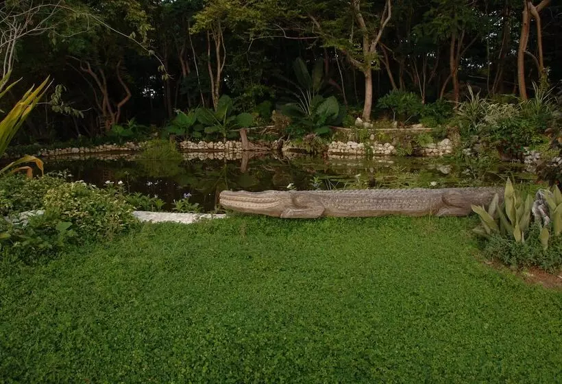 Lomakeskus Noanoa Island