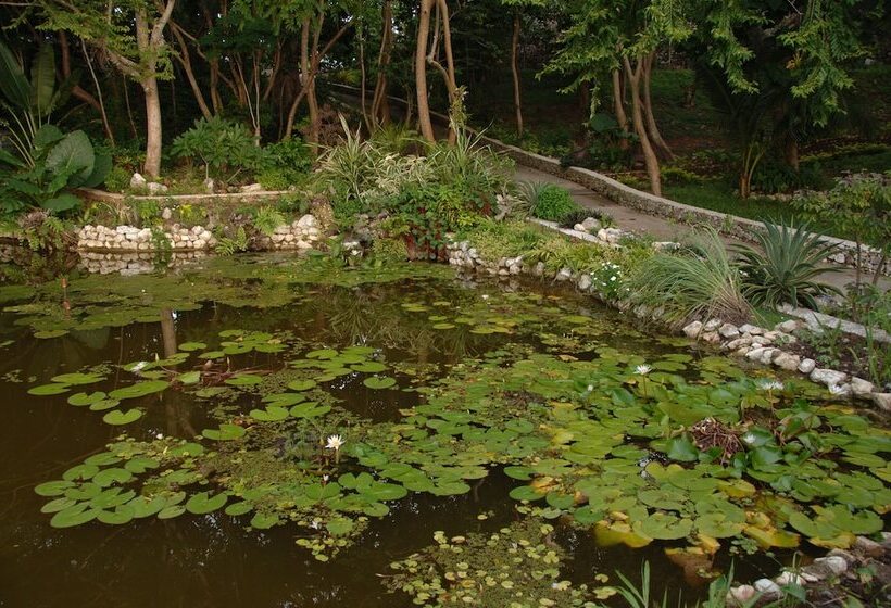 Курорт Noanoa Island