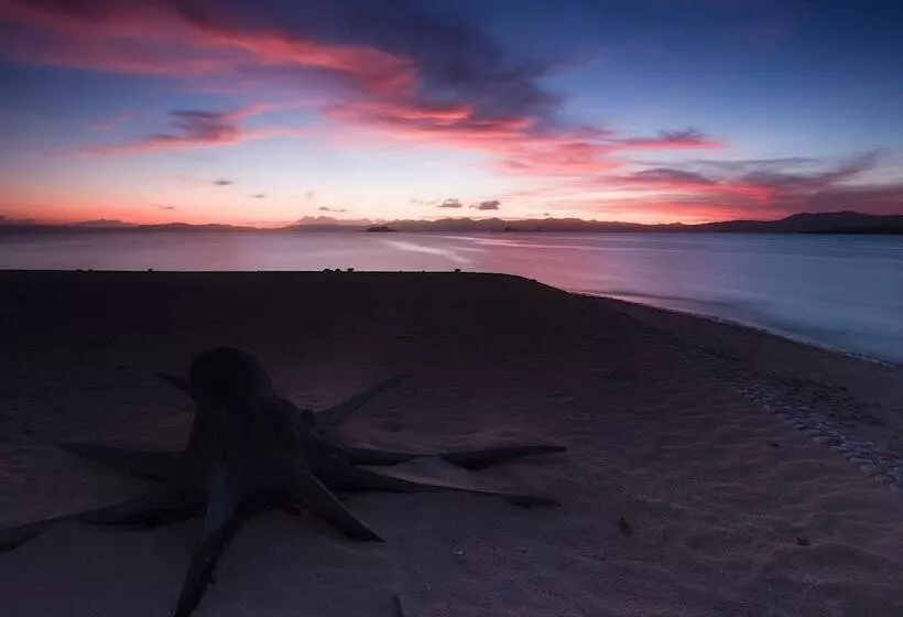 Lomakeskus Noanoa Island
