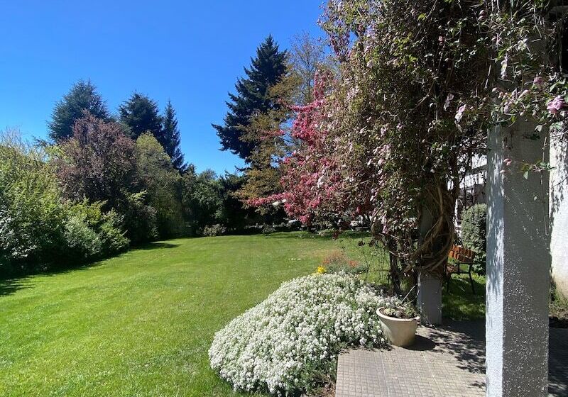 호텔 Hostería Del Prado