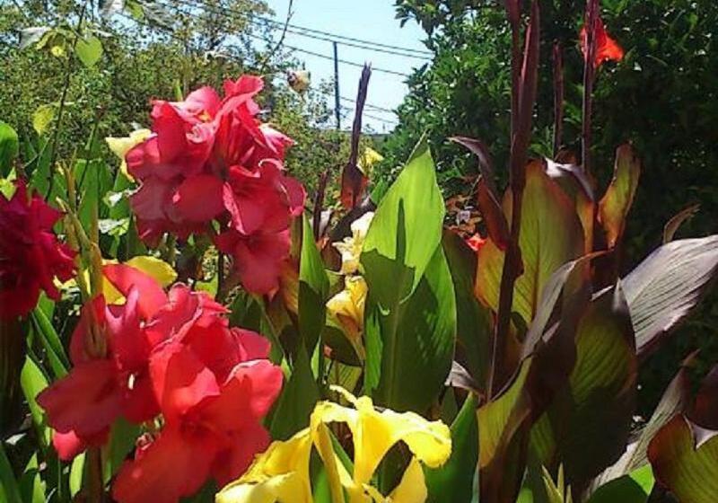 Отель Roda Pearl Resort