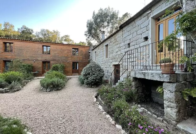 ペンション Barraconu