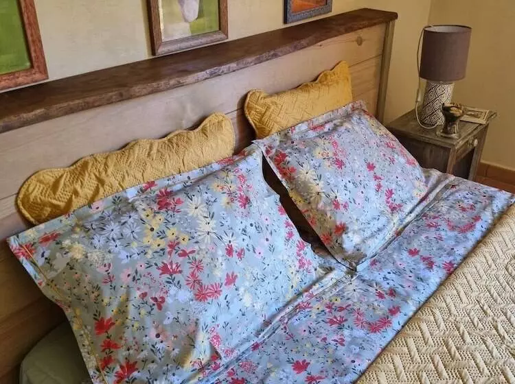 ペンション Barraconu