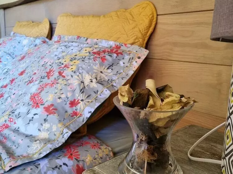 ペンション Barraconu