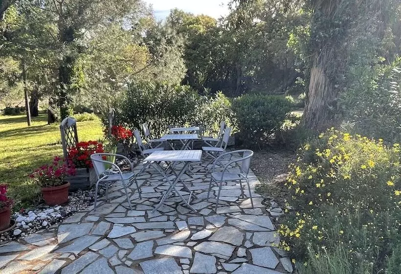 ペンション Barraconu