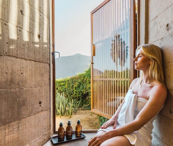 فندق Paradero Todos Santos   Exclusive Experiences