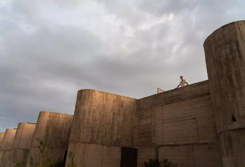 Hotelli Paradero Todos Santos   Exclusive Experiences