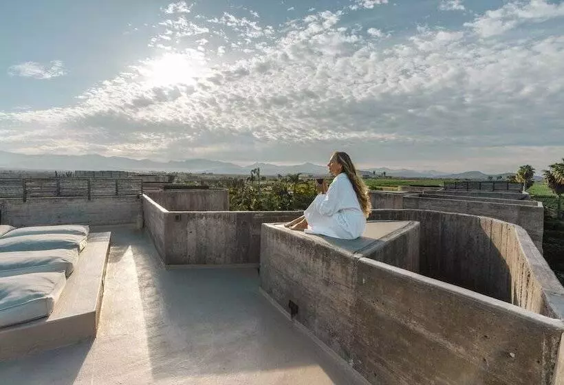 Hotelli Paradero Todos Santos   Exclusive Experiences