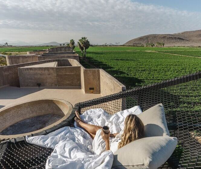 فندق Paradero Todos Santos   Exclusive Experiences