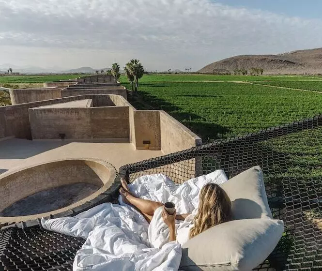 Hotelli Paradero Todos Santos   Exclusive Experiences