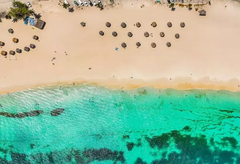 اقامتگاه Oceania 452