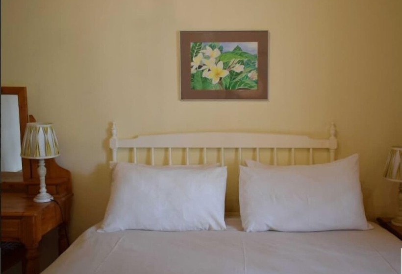 بنسيون Paul Kruger 63