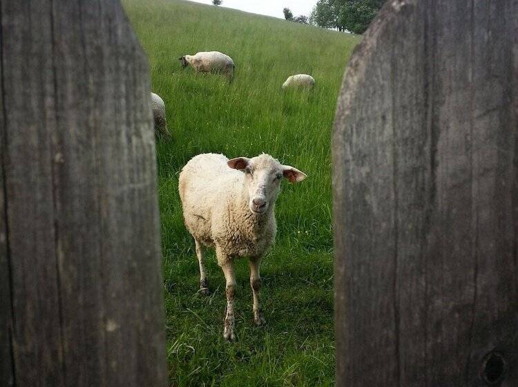 پانسیون Willa Leluja