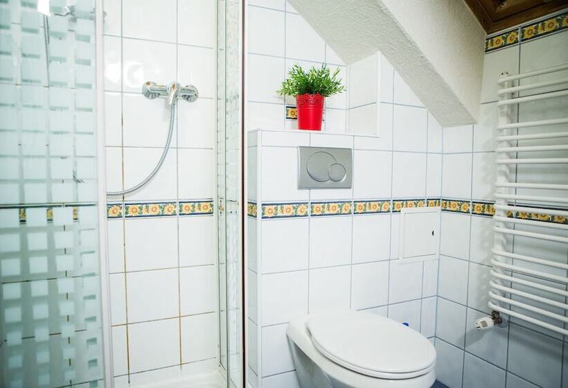 پانسیون Willa Leluja