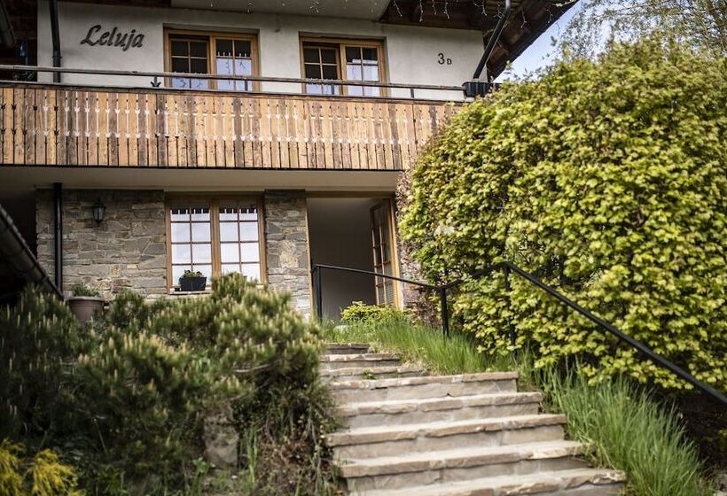 پانسیون Willa Leluja