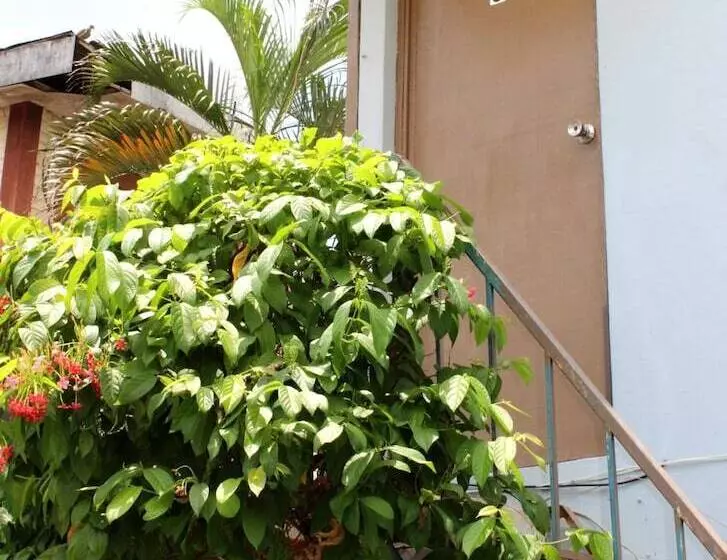 ペンション Ximenas Guest House