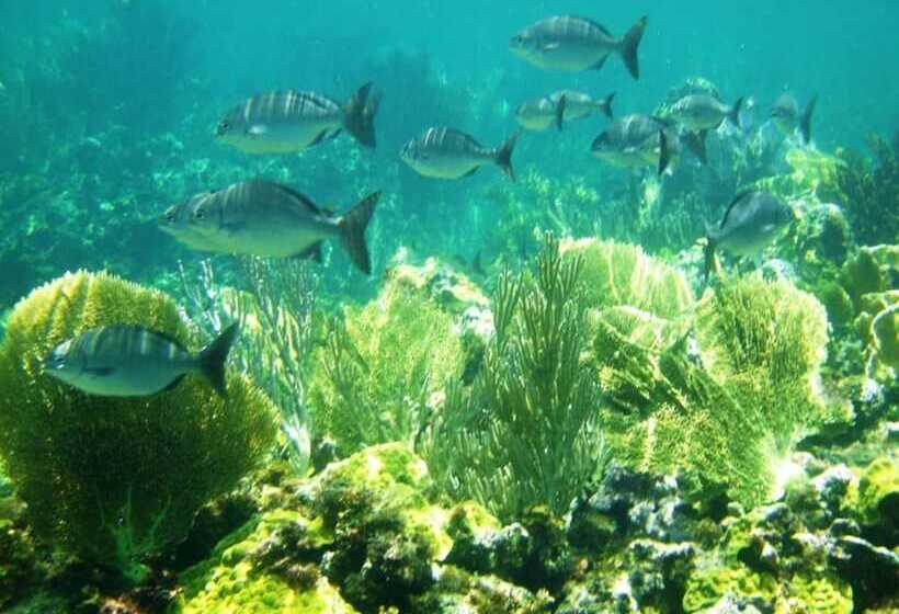 Pink Sand Cottage Cottage