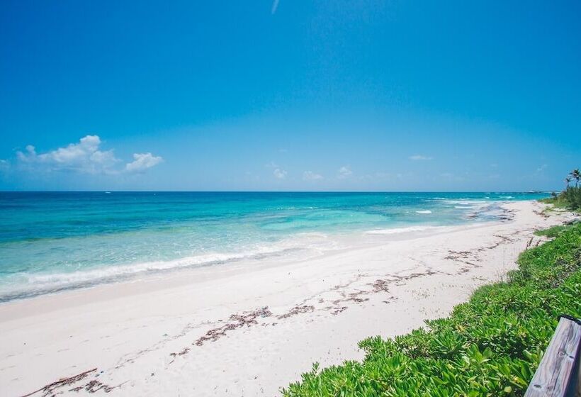 Pink Sand Cottage Cottage