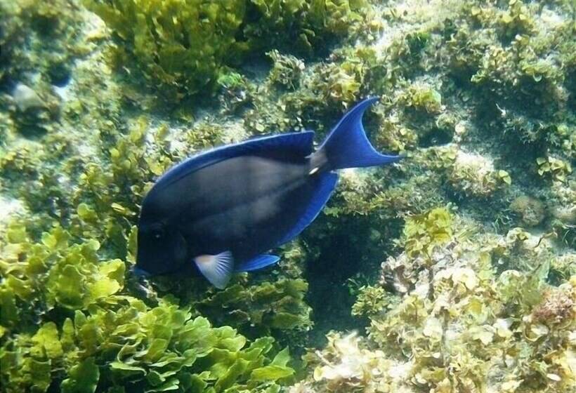 Pink Sand Cottage Cottage