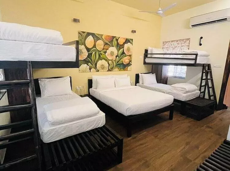 Lomakeskus Tathastu Tadoba