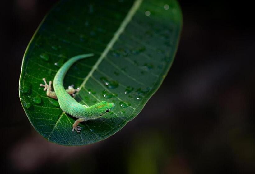 تختخواب و صبحانه Salama Eco Lodge And Hostel