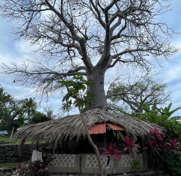 تختخواب و صبحانه Salama Eco Lodge And Hostel