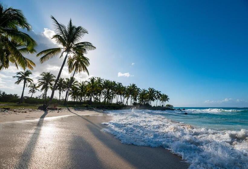 تختخواب و صبحانه Salama Eco Lodge And Hostel