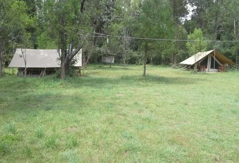 هتل Leisure Gardens