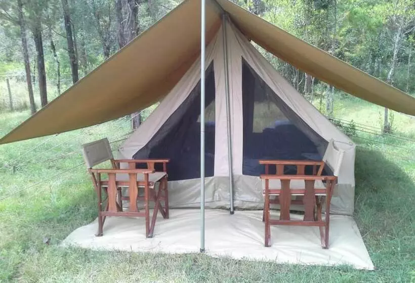 هتل Leisure Gardens