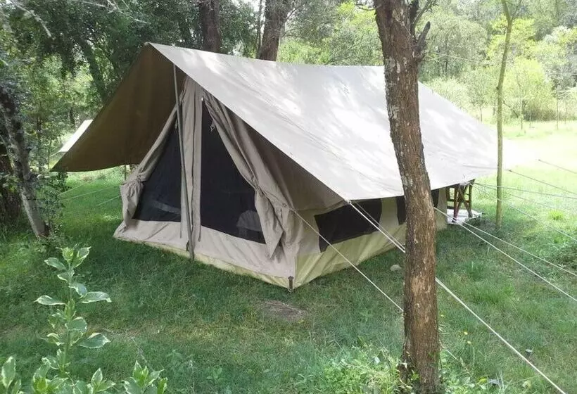 هتل Leisure Gardens