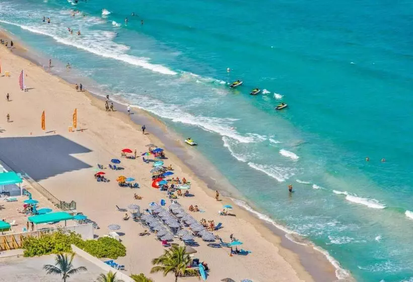 Miami Magic Oasis