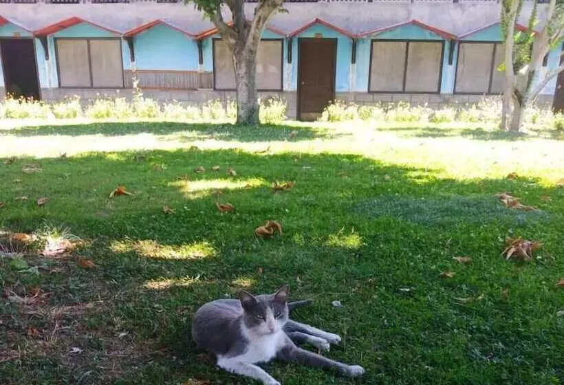 Mountain Inn Hotel Chitral