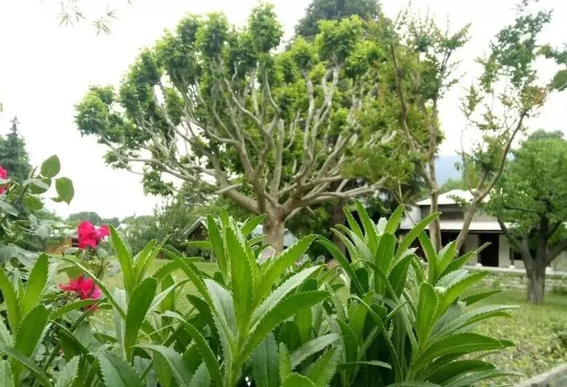 Mountain Inn Hotel Chitral