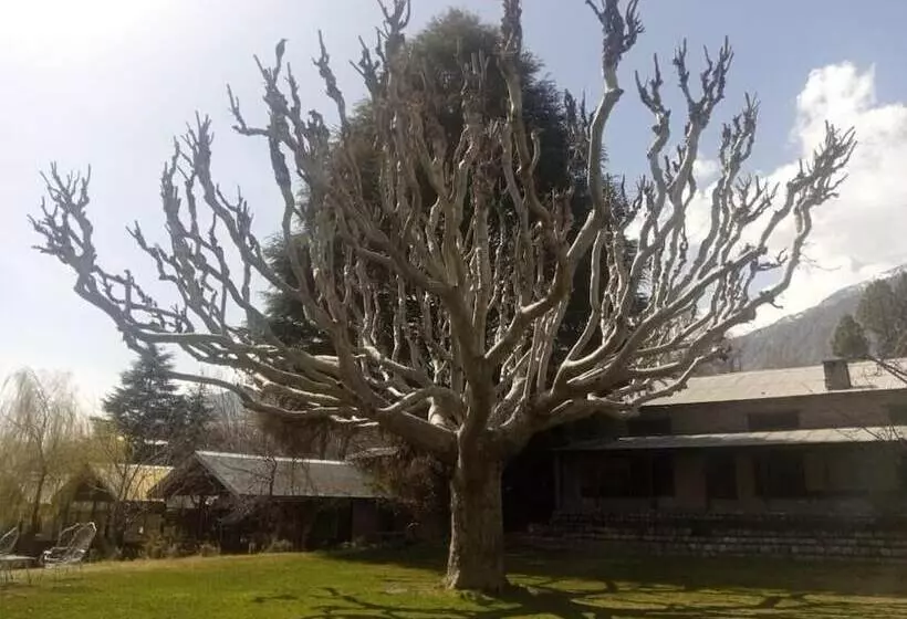 Mountain Inn Hotel Chitral