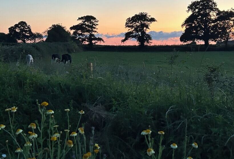 Stunning Shepherdhut/woodburner/openviews/barbeque
