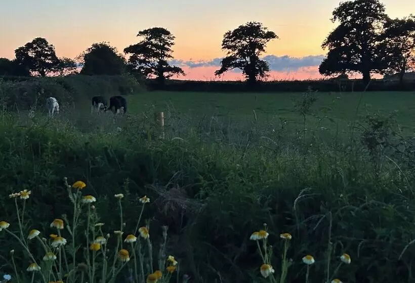 Stunning Shepherdhut/woodburner/openviews/barbeque