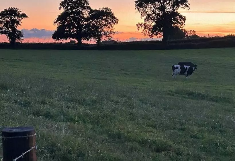 Stunning Shepherdhut/woodburner/openviews/barbeque