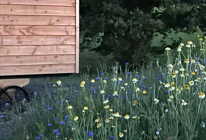 Stunning Shepherdhut/woodburner/openviews/barbeque