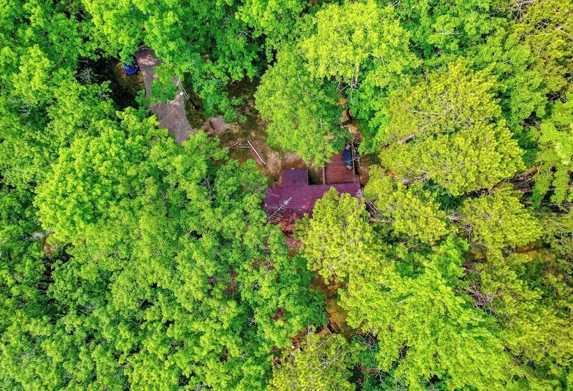 Rustic Michigan Lakeside Cabin W/ Private Dock!