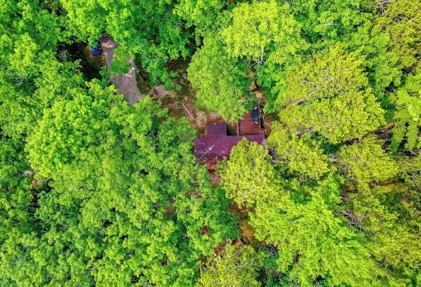 Rustic Michigan Lakeside Cabin W/ Private Dock!