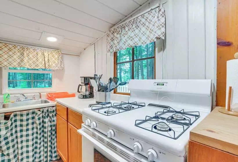 Rustic Michigan Lakeside Cabin W/ Private Dock!